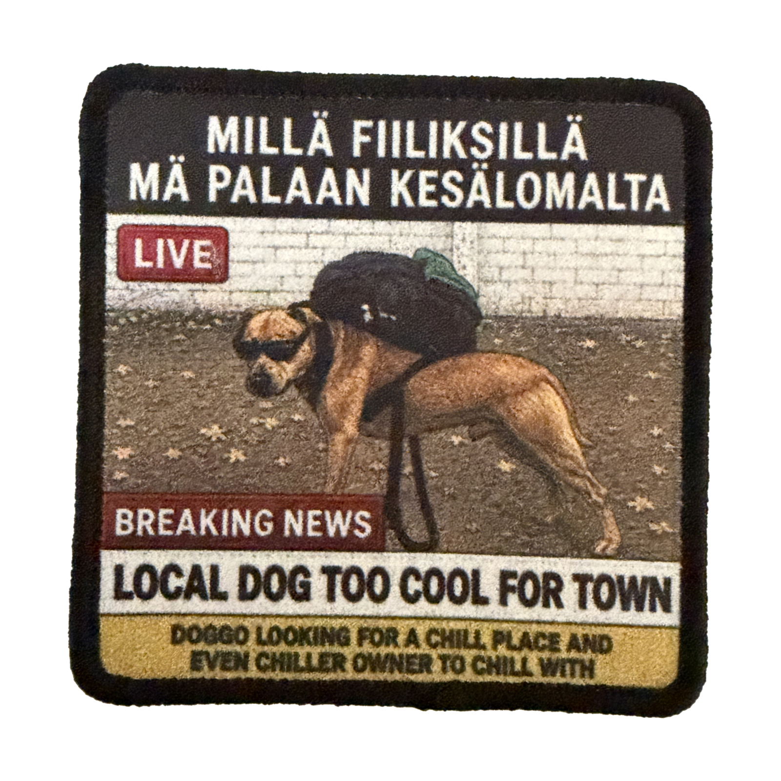 Fiilikset lomalta