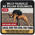 Fiilikset lomalta
