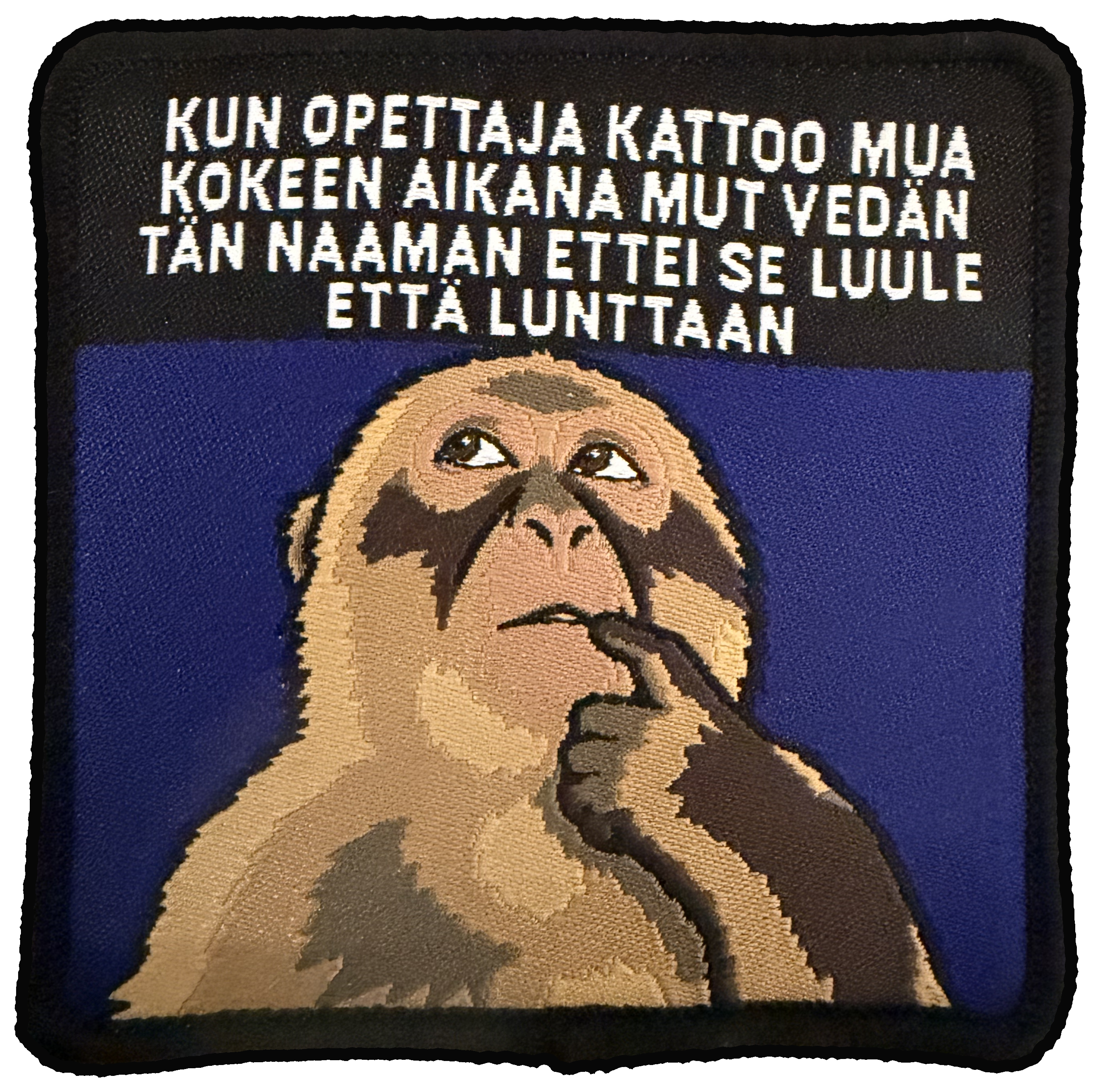 Katse kokeessa