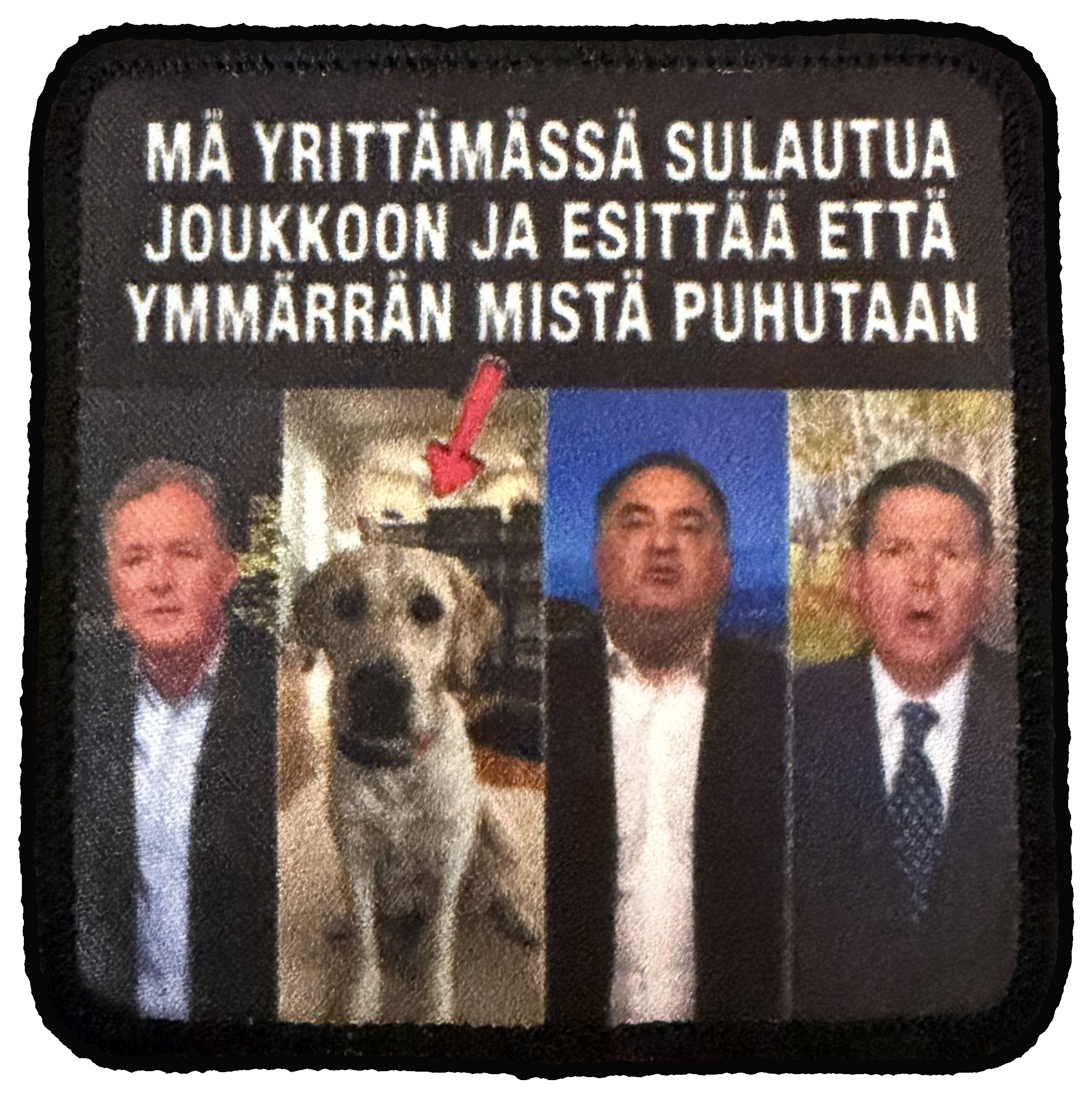 Joukkoon sulautuminen
