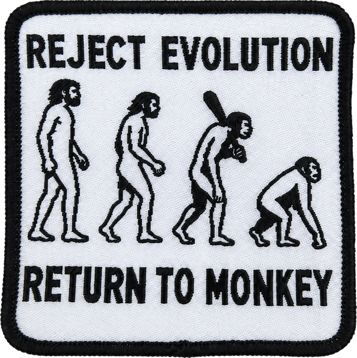 Evoluutio